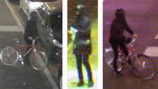 surveillance images of a person of interest