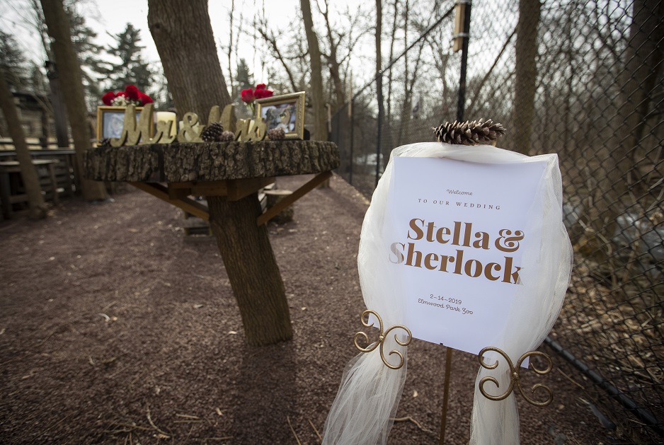 A sign welcoming all to Stella and Sherlock's wedding at the Elmwood Park Zoo. 