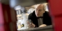 Peter Lelkes looking at a device in the lab.