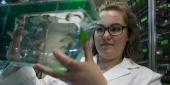 Rachel Paul looking at zebrafish in a tank.