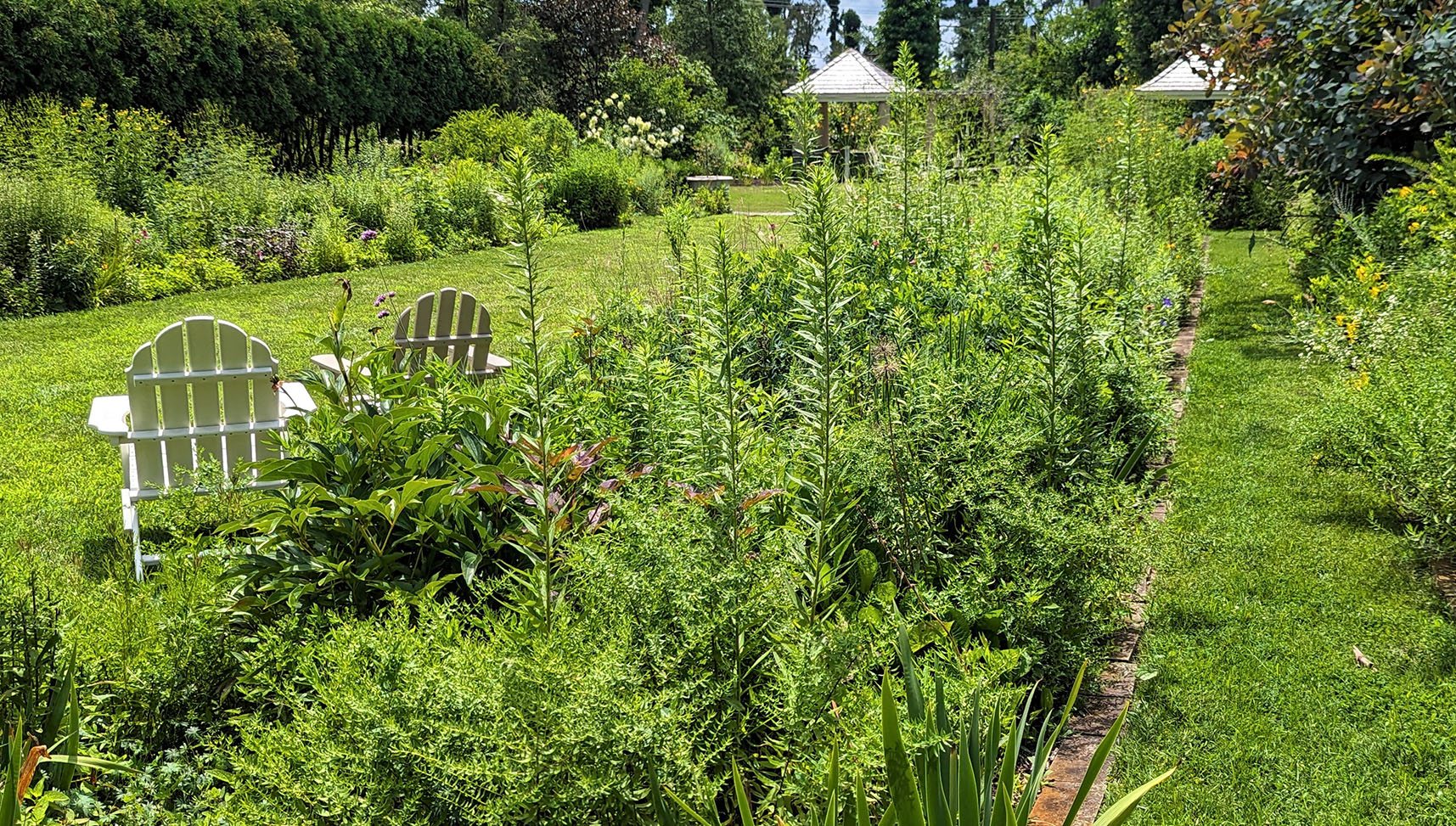 The Ambler Arboretum of Temple University