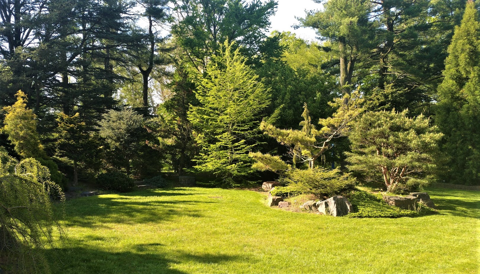 A view of the Colibraro Conifer Garden at the Ambler Arboretum of Temple University.