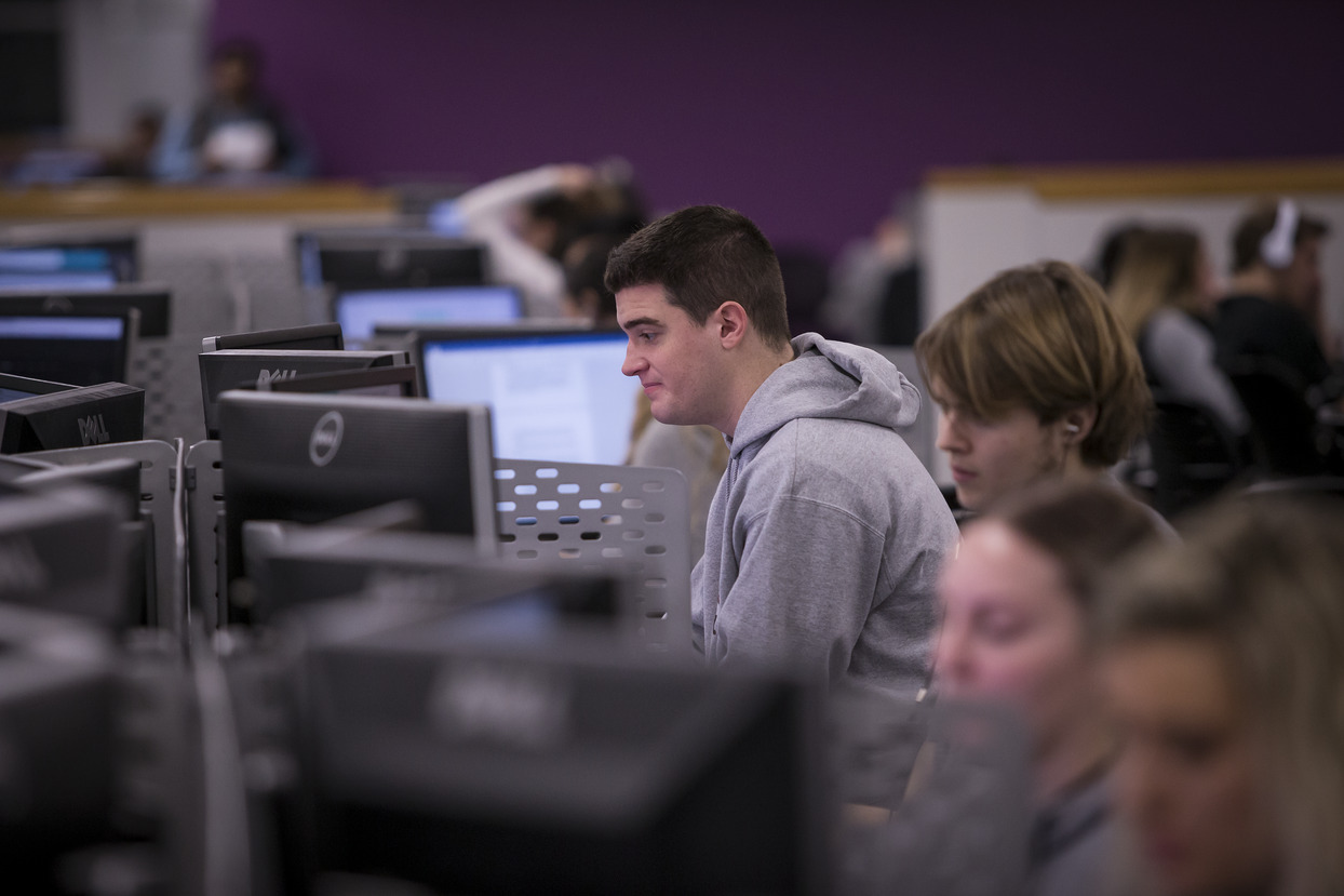 a student wearing a grey sweatshirt looks at a computer