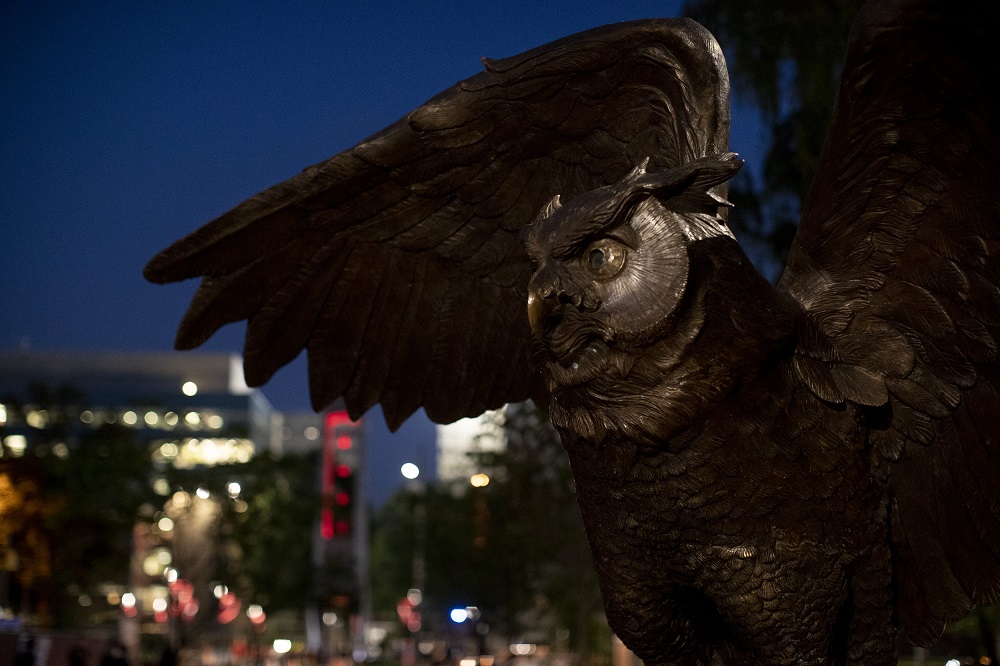 The Owl statue on Main Campus. 