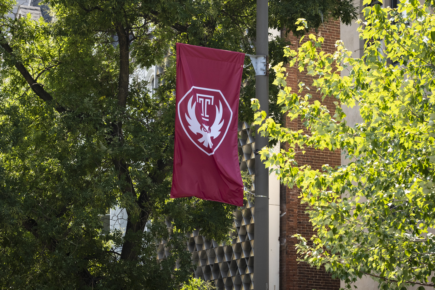 The Temple flag with the new Owl mark