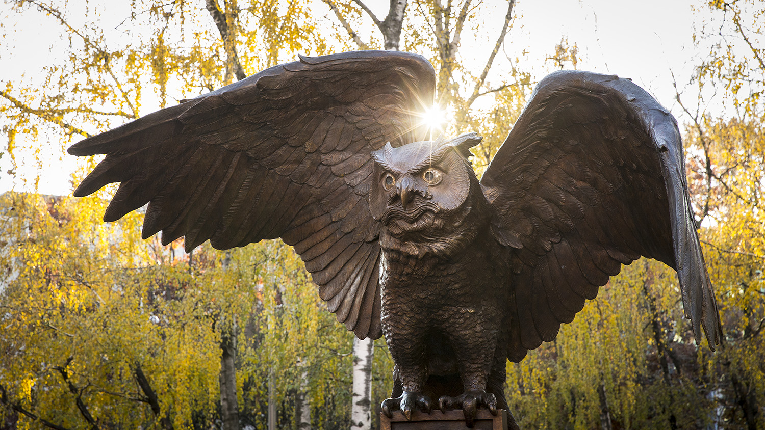Owl Statue stock image
