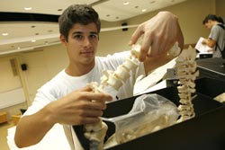 Bone kits for medical students