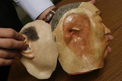 A model used to build facial prostheses.