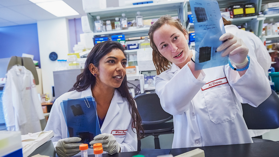 two students examining a document in Temple’s Cardiovascular Research Center.