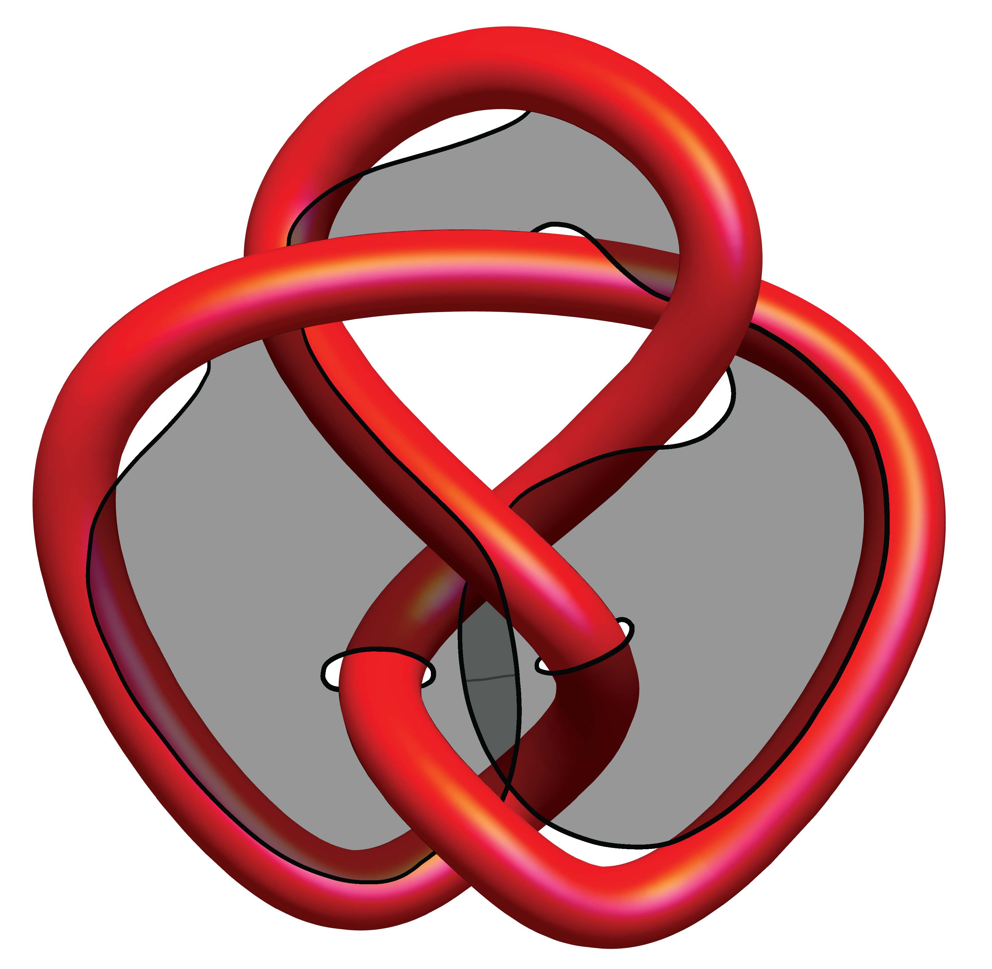 The figure-8 knot.