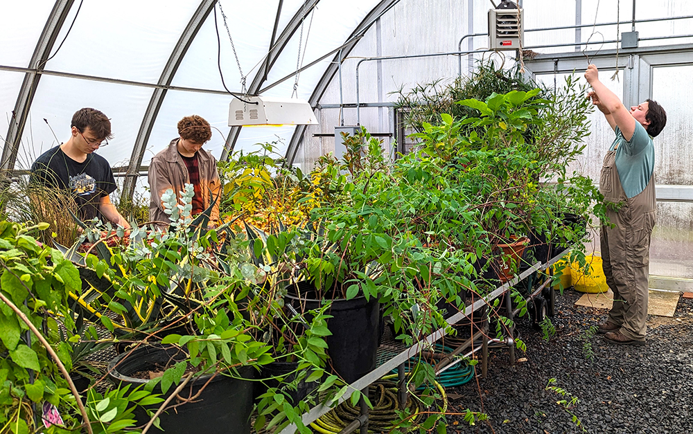 Temple students prepare plants for the 2024 Philadelphia Flower Show
