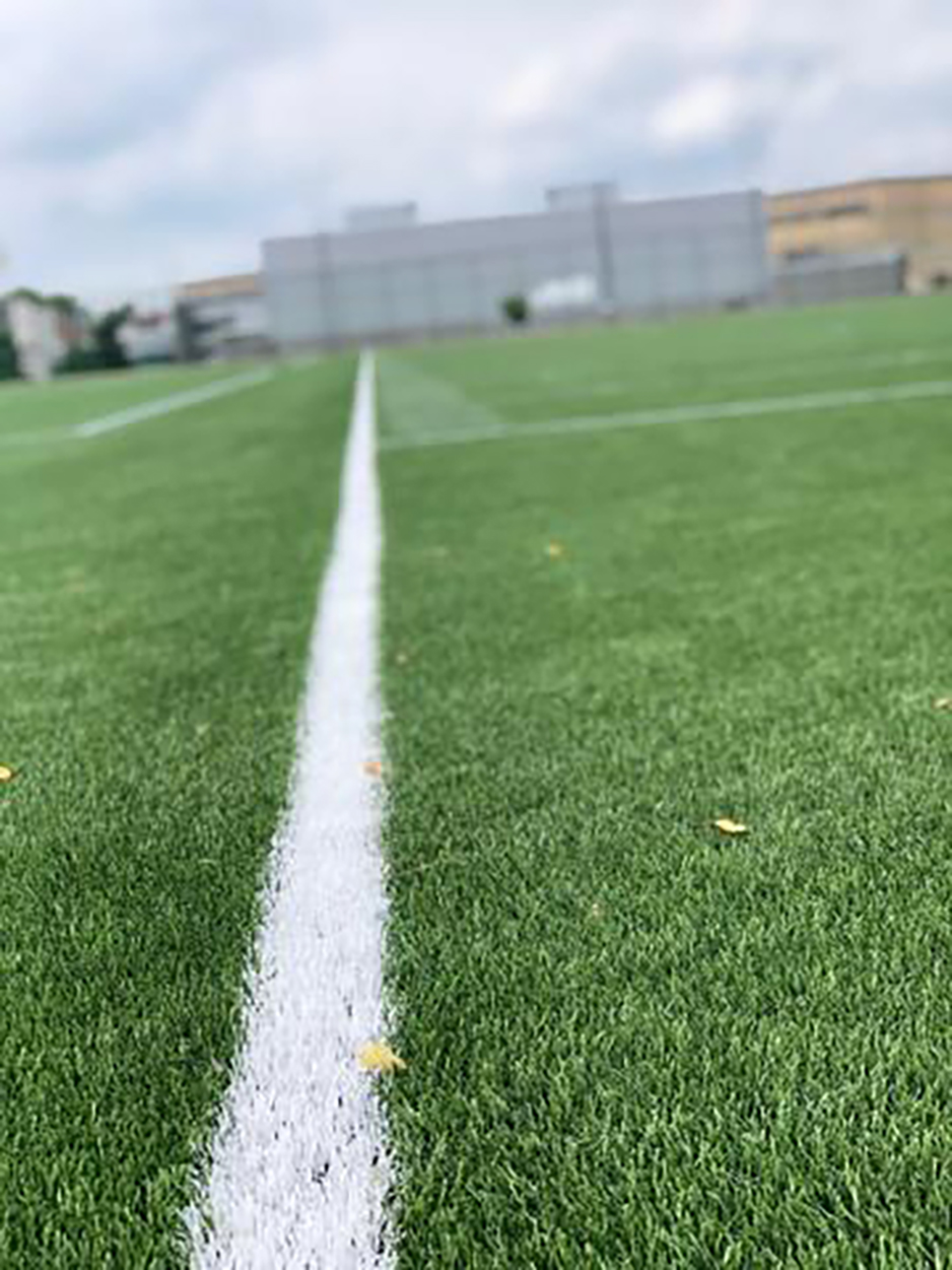 Geasey field turf