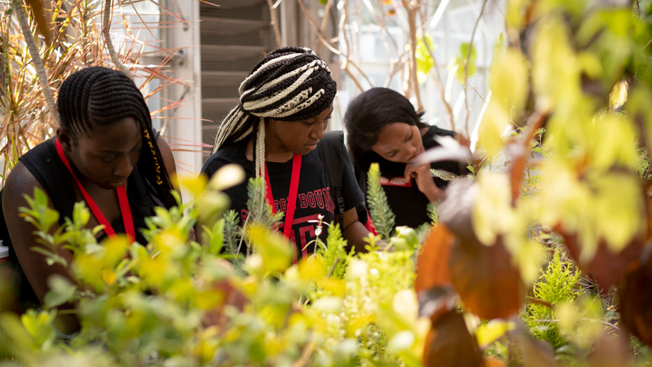 students examining plants