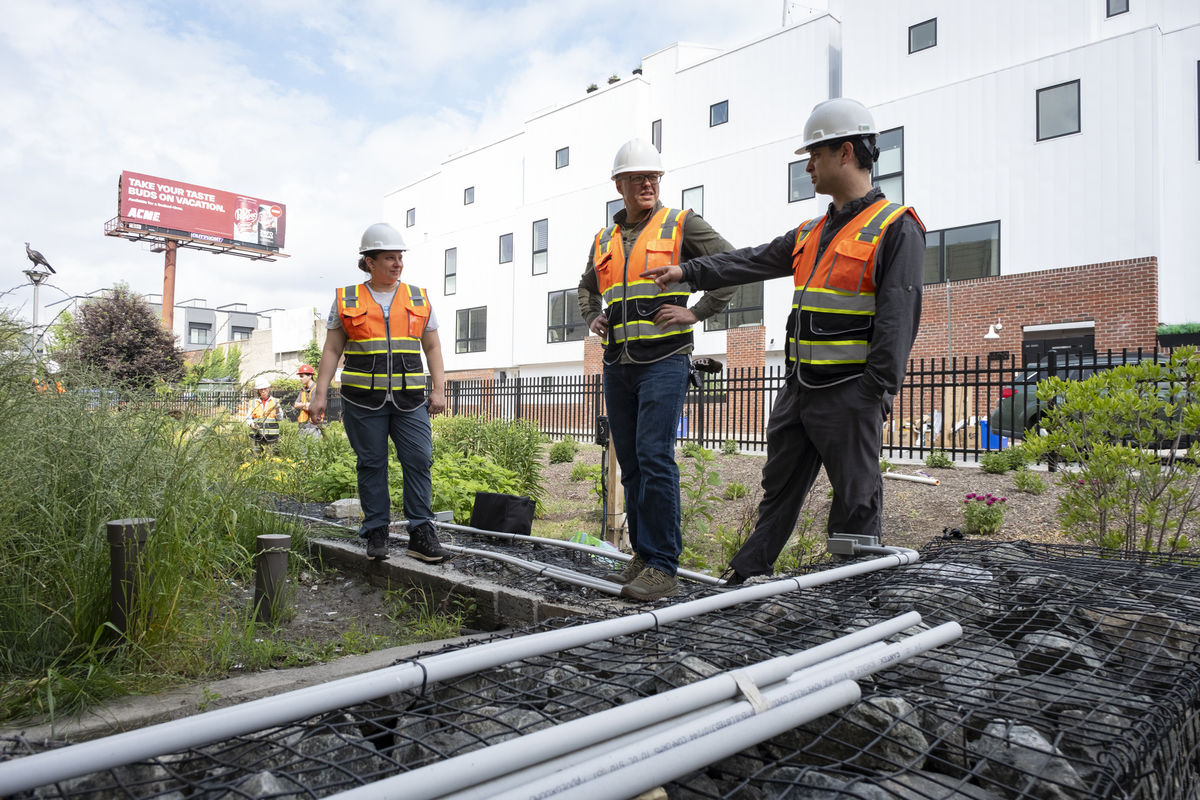 Image of Joni Baumgarten, Sasha Eisenman and Josh Caplan in a bioretention basin.