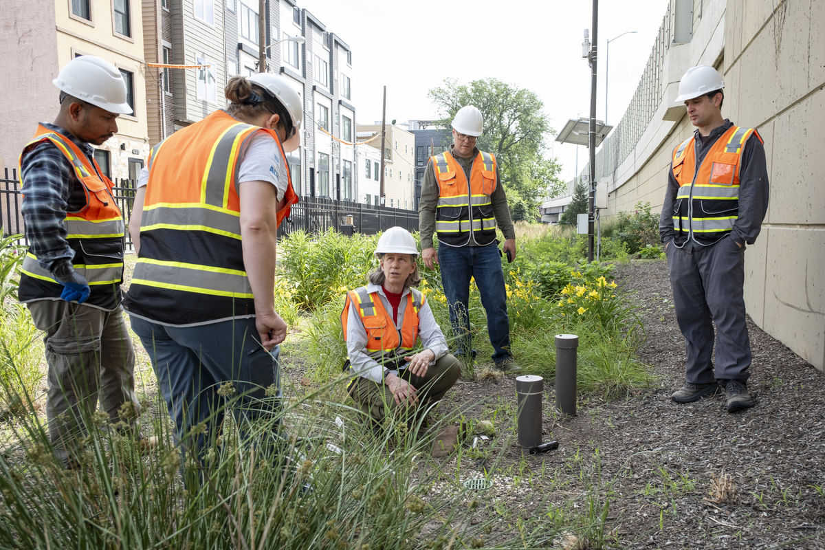 Image of the Temple research team in a bioinfiltration basin.