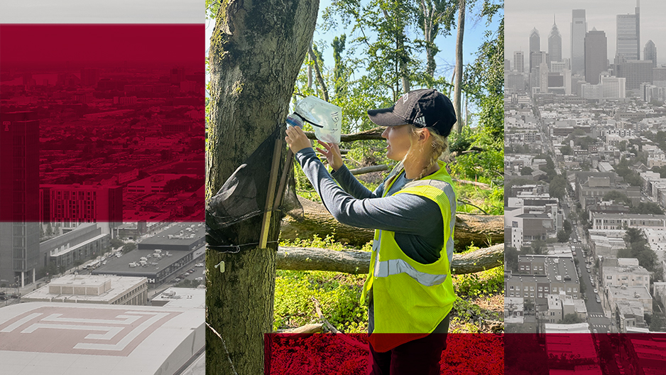 Kelly Meinert working at Ambler Field Station