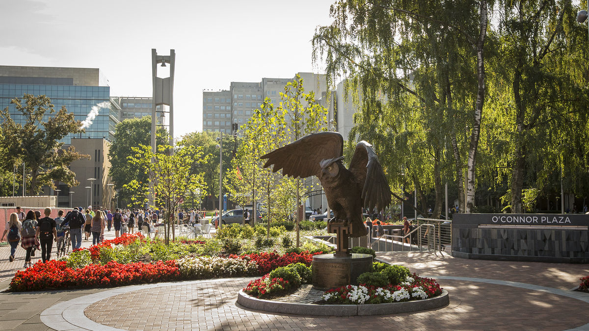 It's Owls vs. Owls Wednesday Night at TSC - Temple