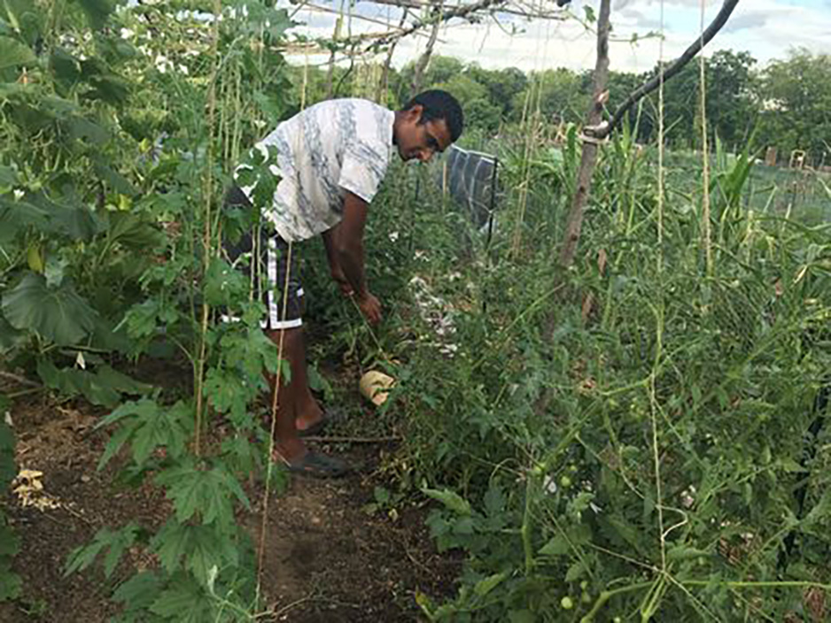 Jagadeesh Gummadi Gardening