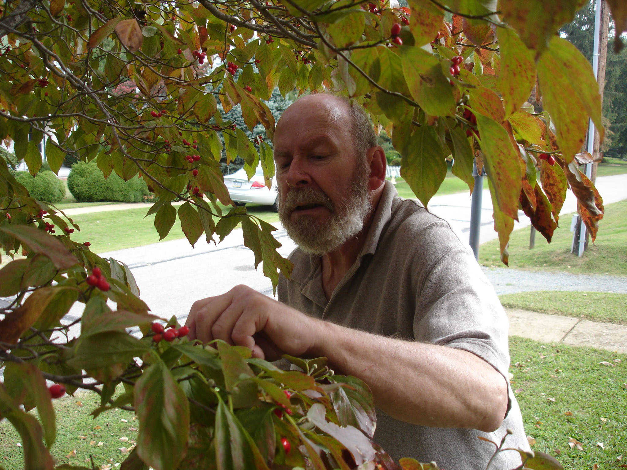 John Collins, Founding Chair of the Temple four-year Landscape Architecture and Horticulture Programs 