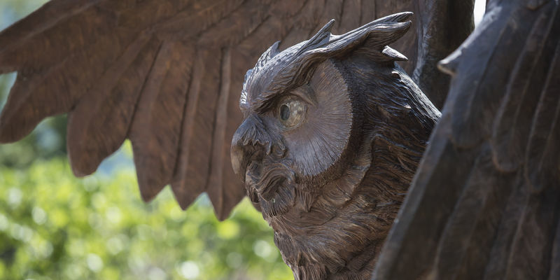 Owl statue pictured.