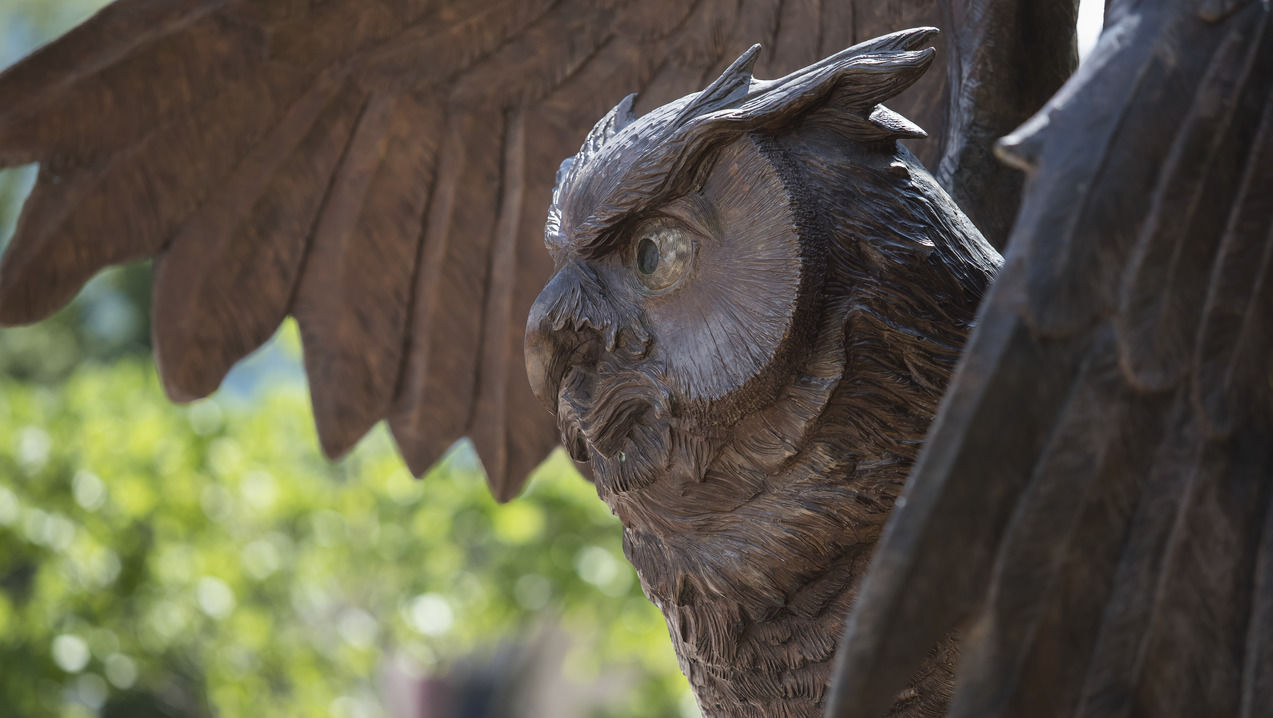 Owl statue pictured.