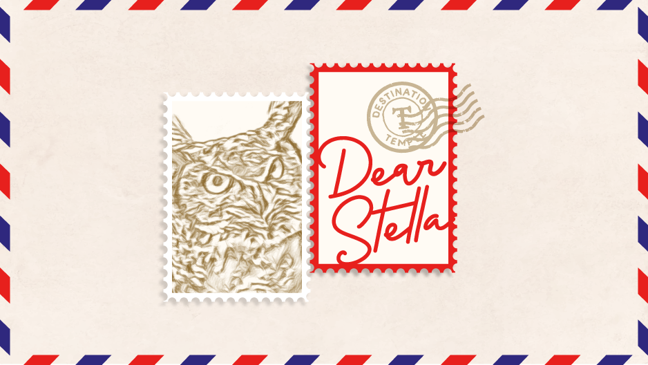 An illustration of two postage stamps, one with Stella the Owl and one that reads Dear Stella. 