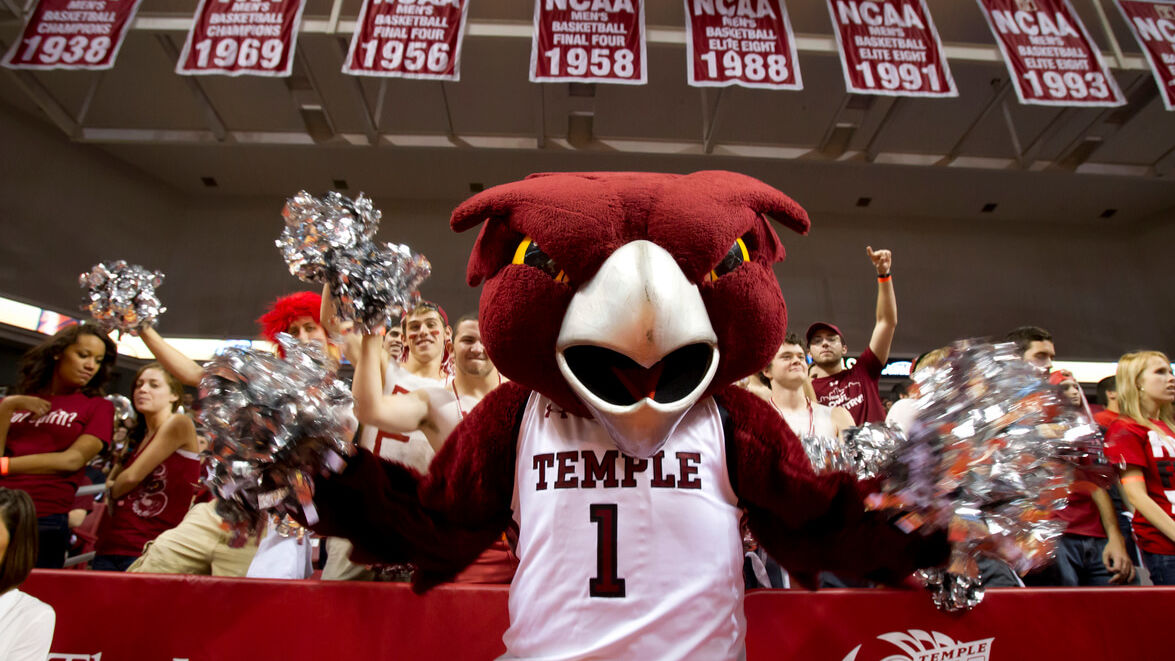 Temple owls sale