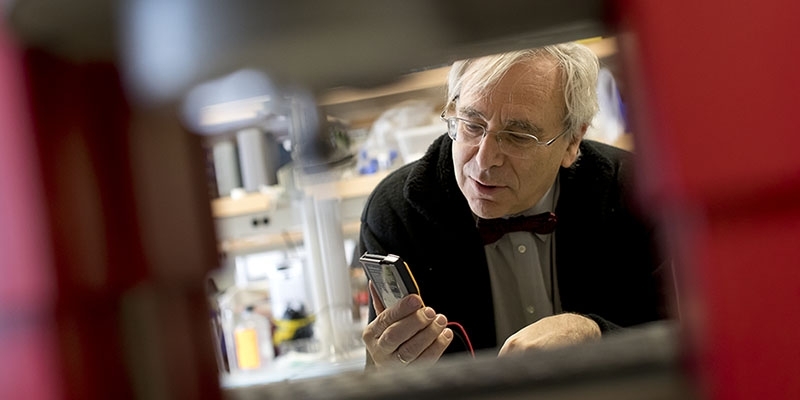 Peter Lelkes looking at a device in the lab. 
