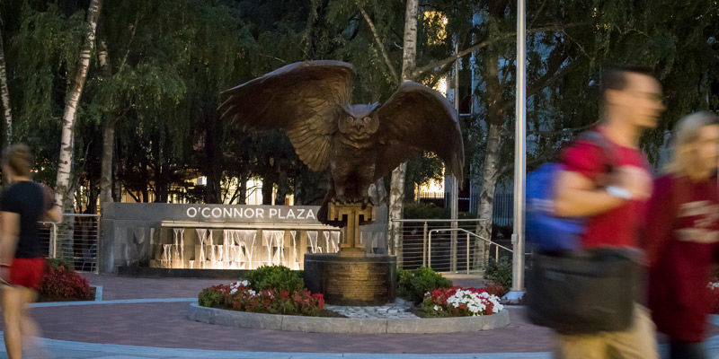 New owl statue at O'Connor Plaza