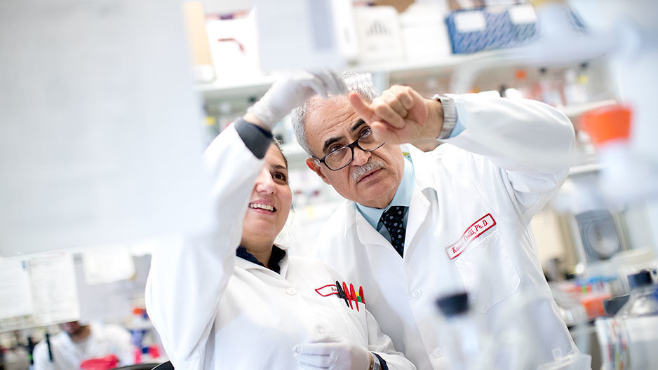 Two researchers in white lab coats examine a slide