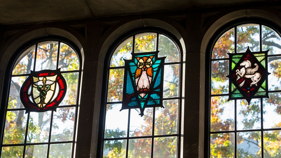 stained glass showing an owl at Temple