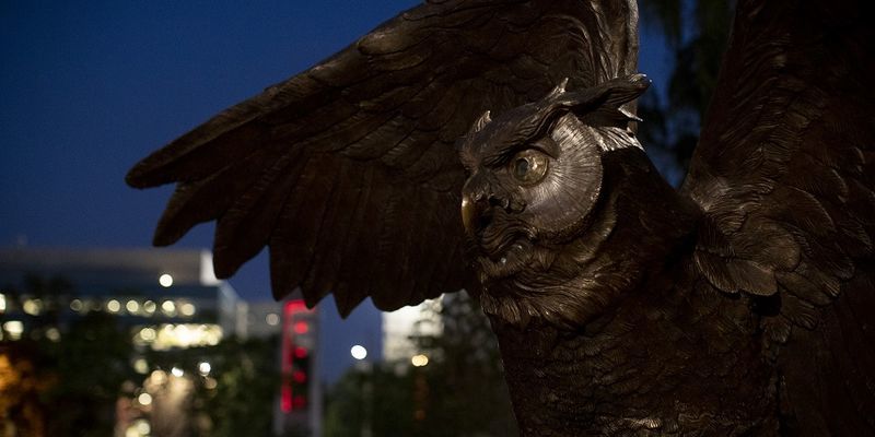 The Owl statue on Main Campus. 