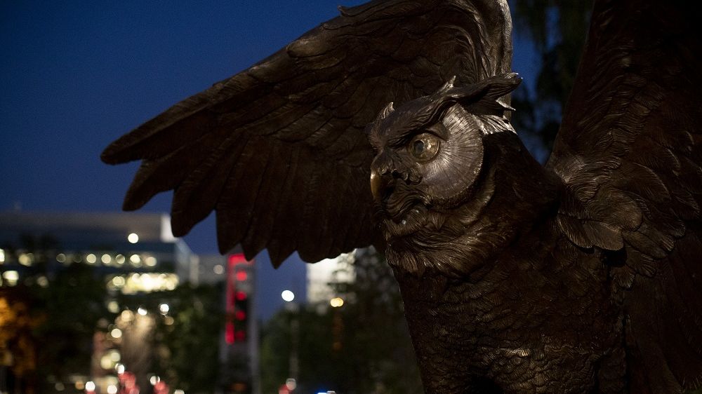 The Owl statue on Main Campus.