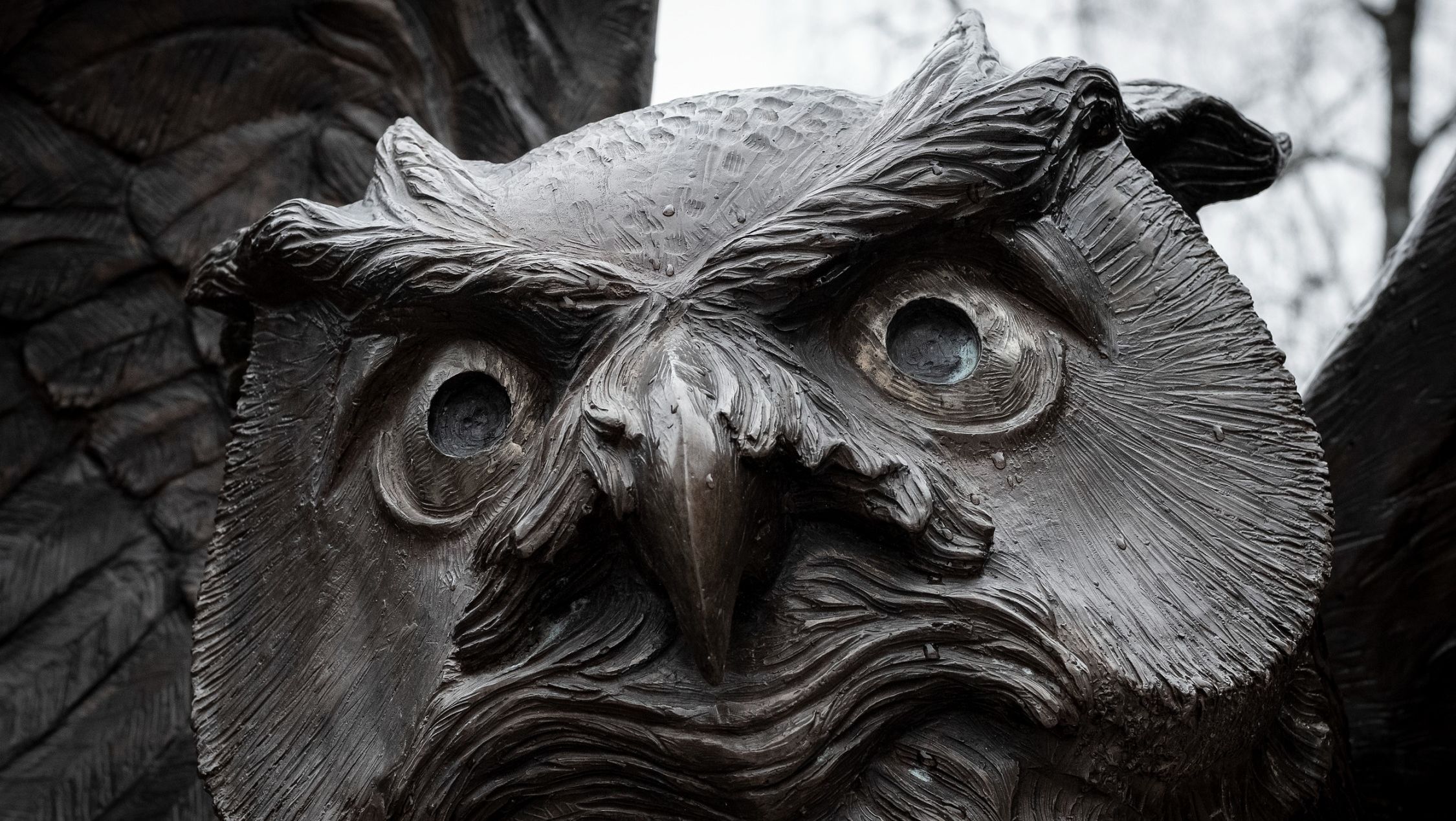 Image of Temple’s bronze owl statue.