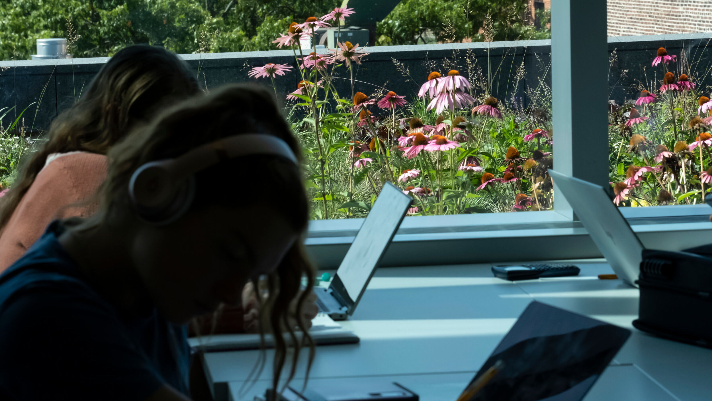 Students studying in Charles Library, with the green roof visible through a window nearby.