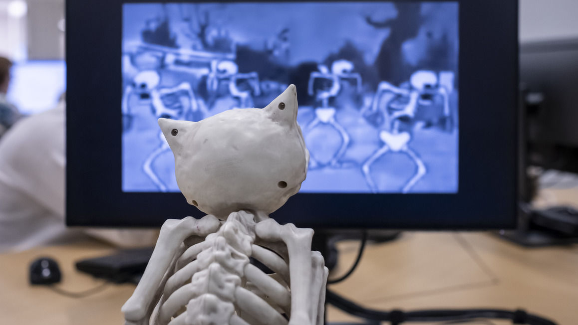 Image of an owl skeleton looking at a screen.