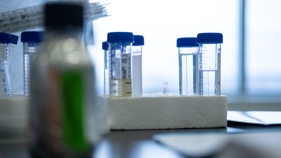 test tubes in a lab