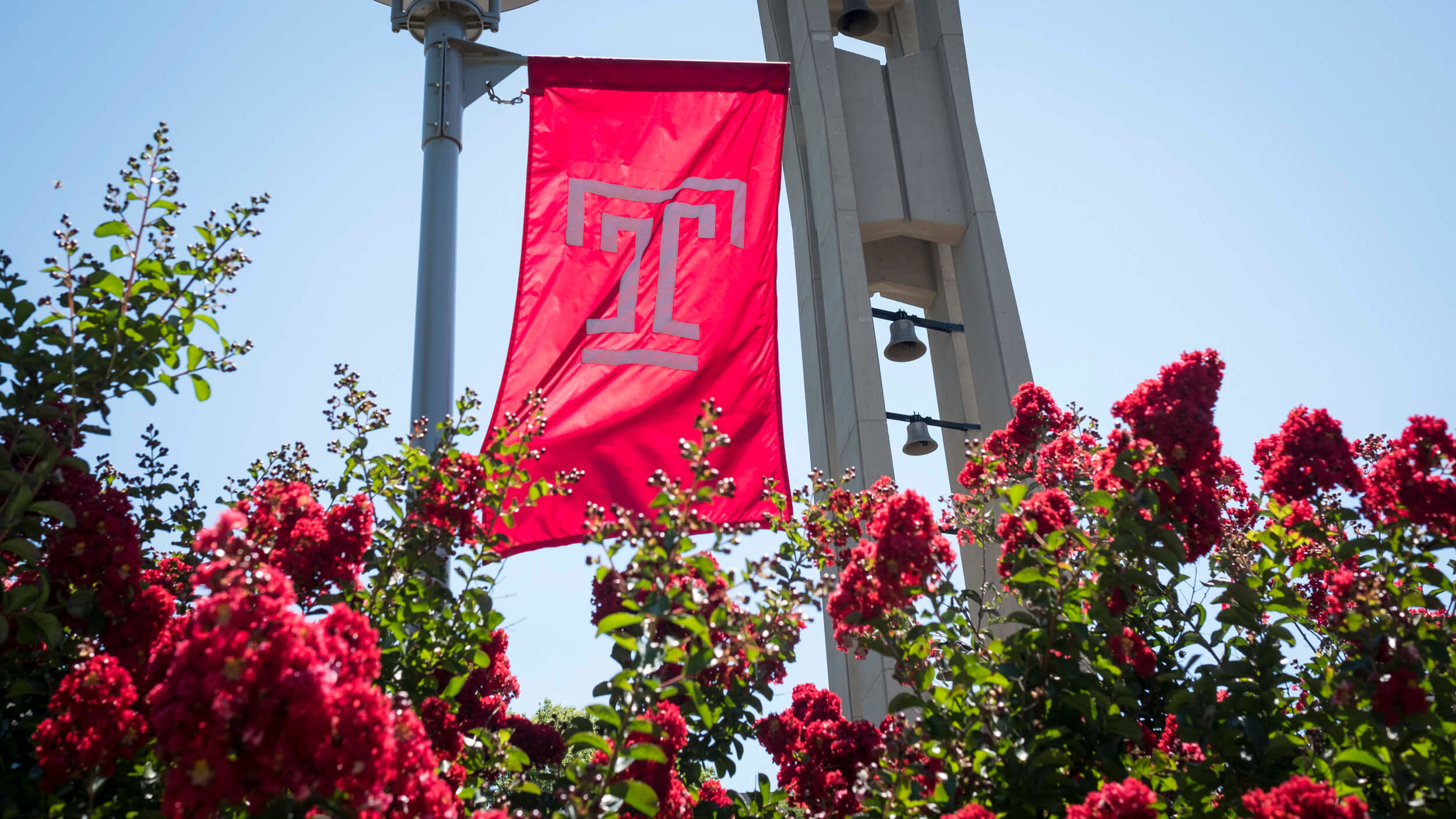 Temple flag flying by the Bell Tower.
