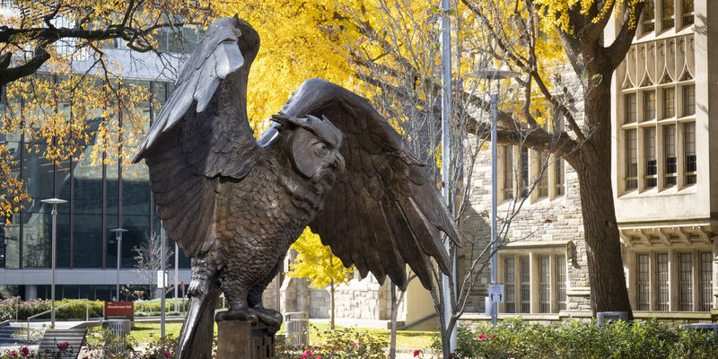 Bronze Owl statue on campus