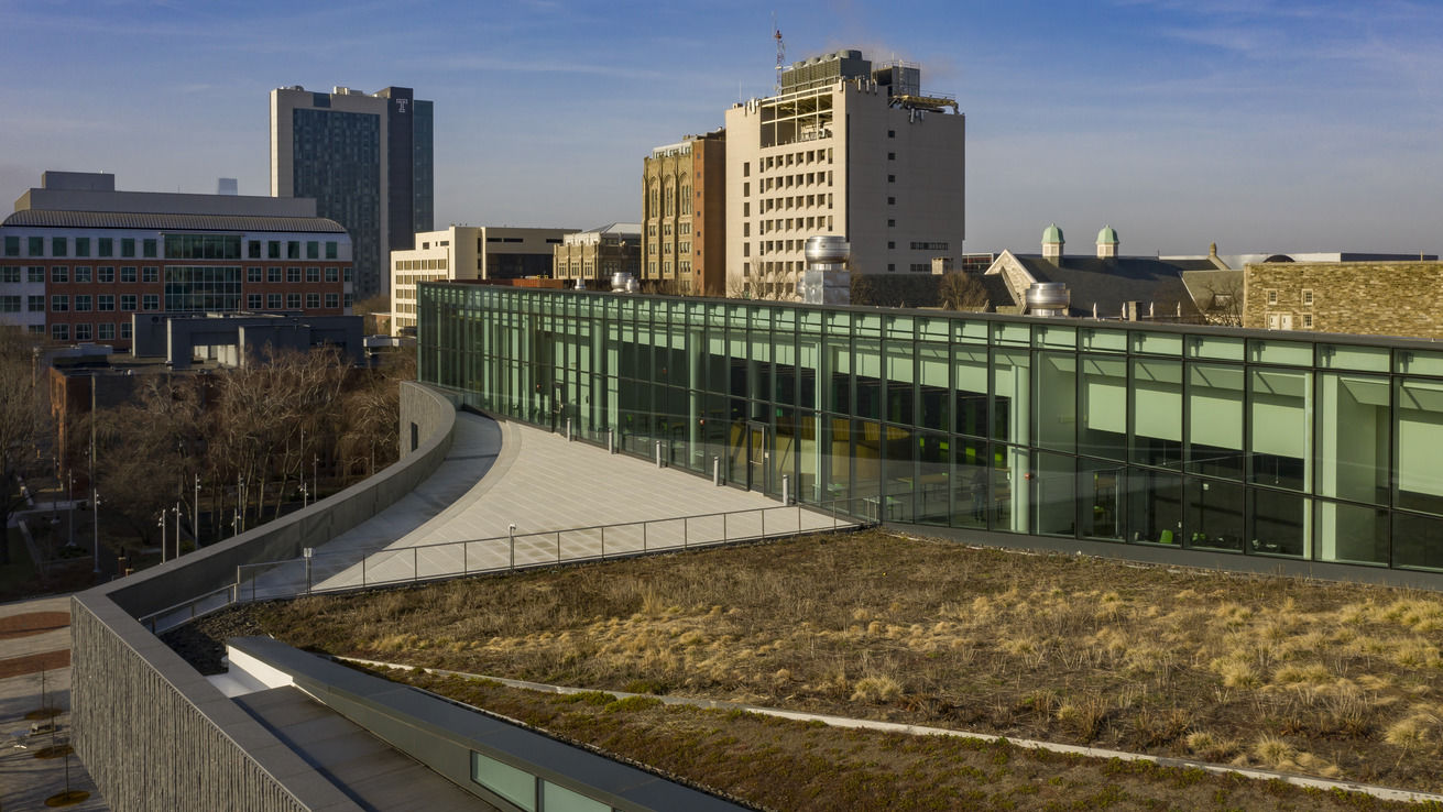 Charles Library’s green roof, part of Temple’s continued sustainability efforts.
