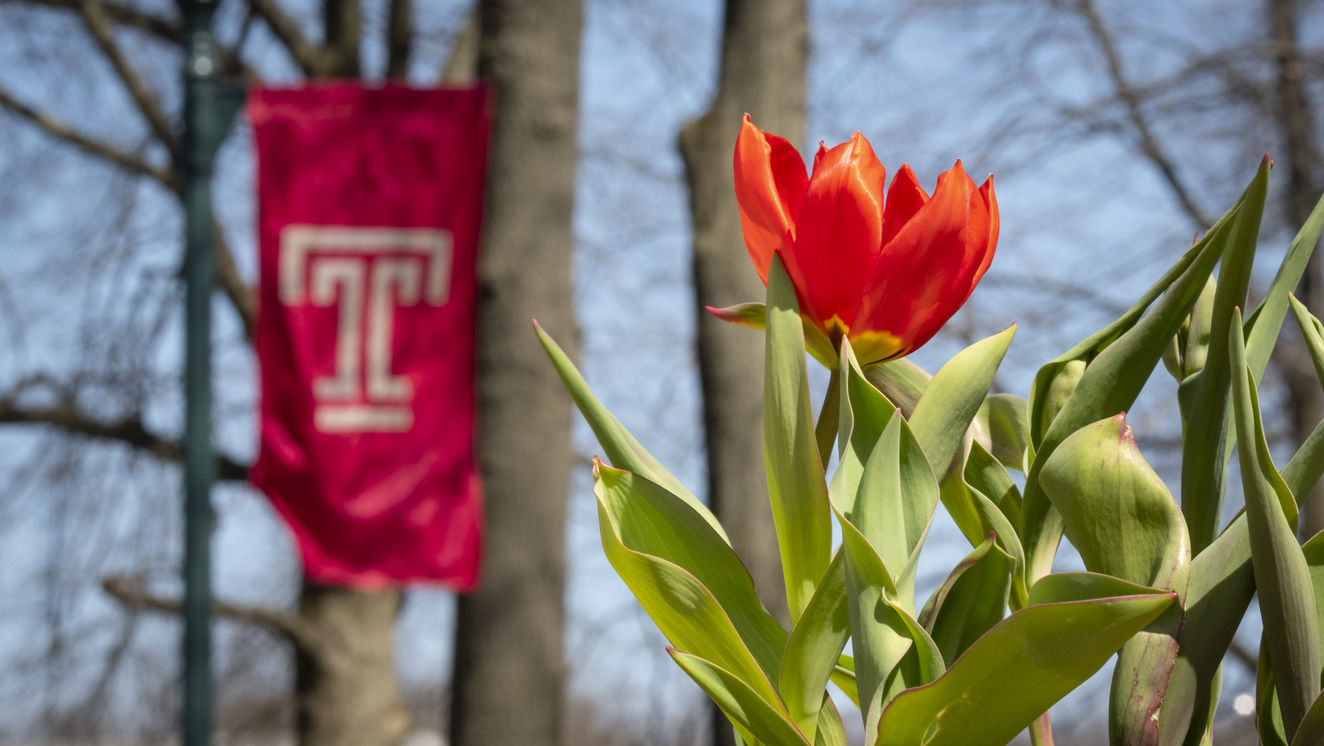 Temple flag with tulip