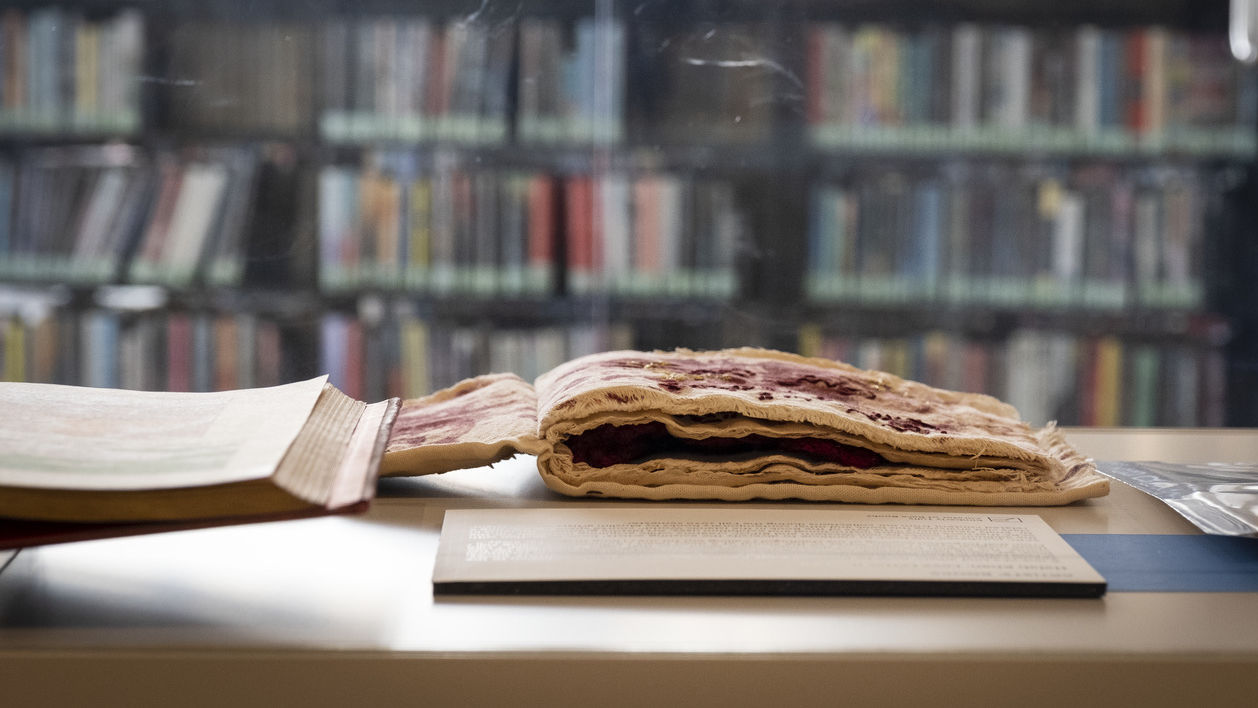Image of books in a case.