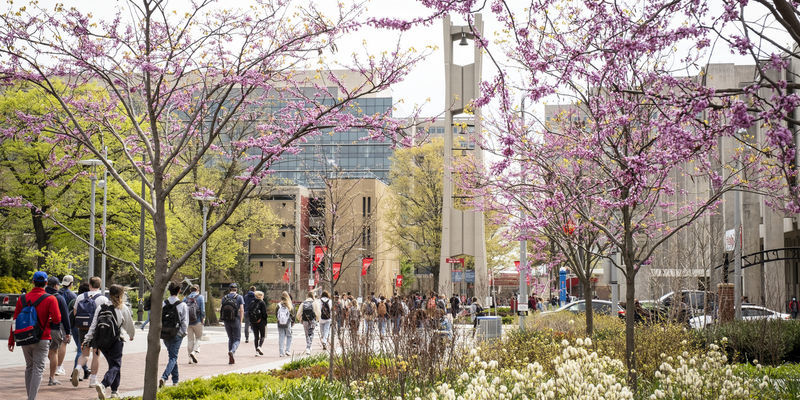  Students walking on Temple’s Main Campus in early spring. 