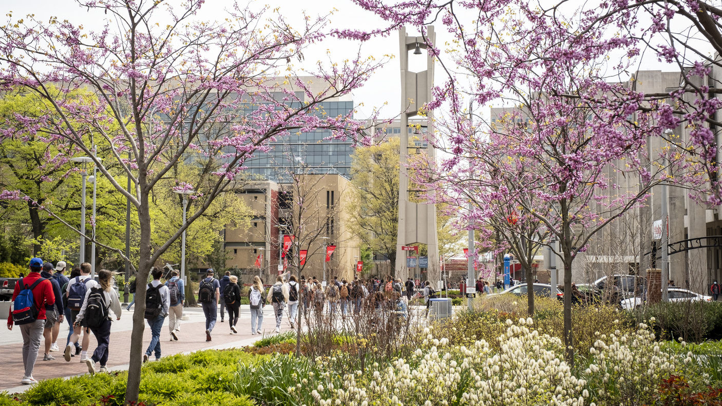 Students walking on Temple’s Main Campus in early spring.