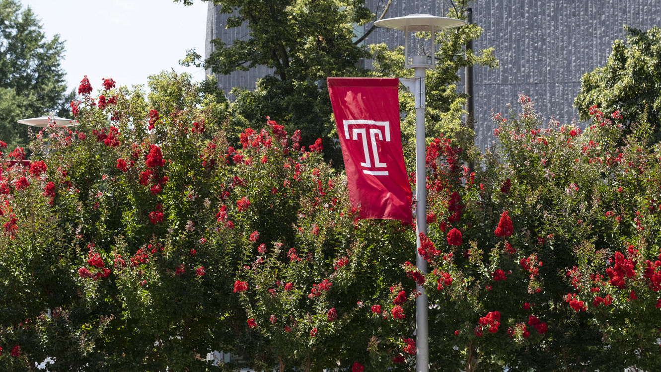 A summer stock image of a Temple flag.