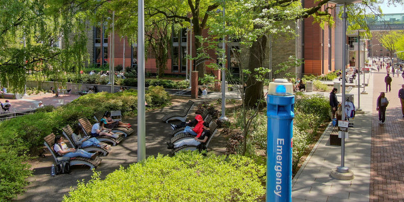 People lounging on campus 