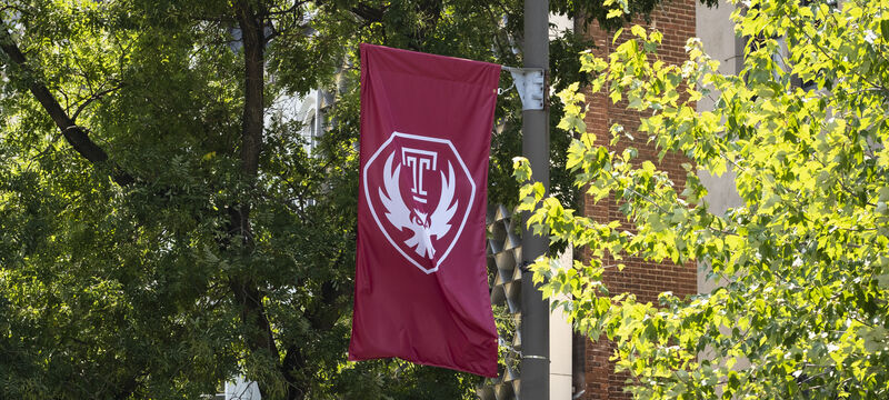 The Temple flag with the new Owl mark