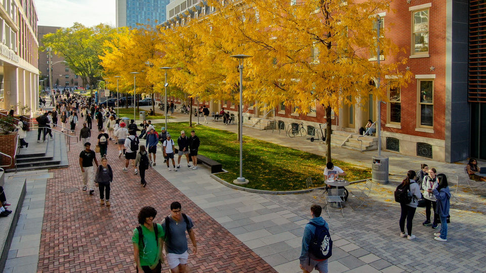 Fall campus scene with changing leaves.