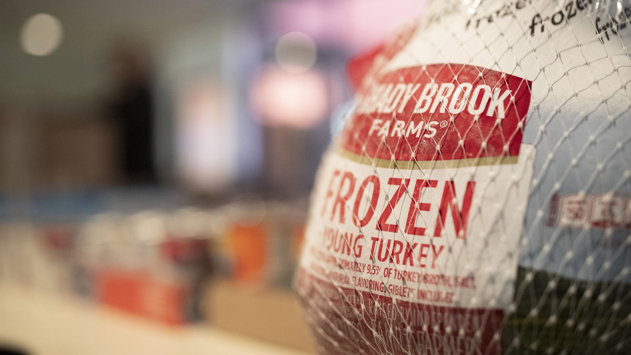 An image of a turkey.