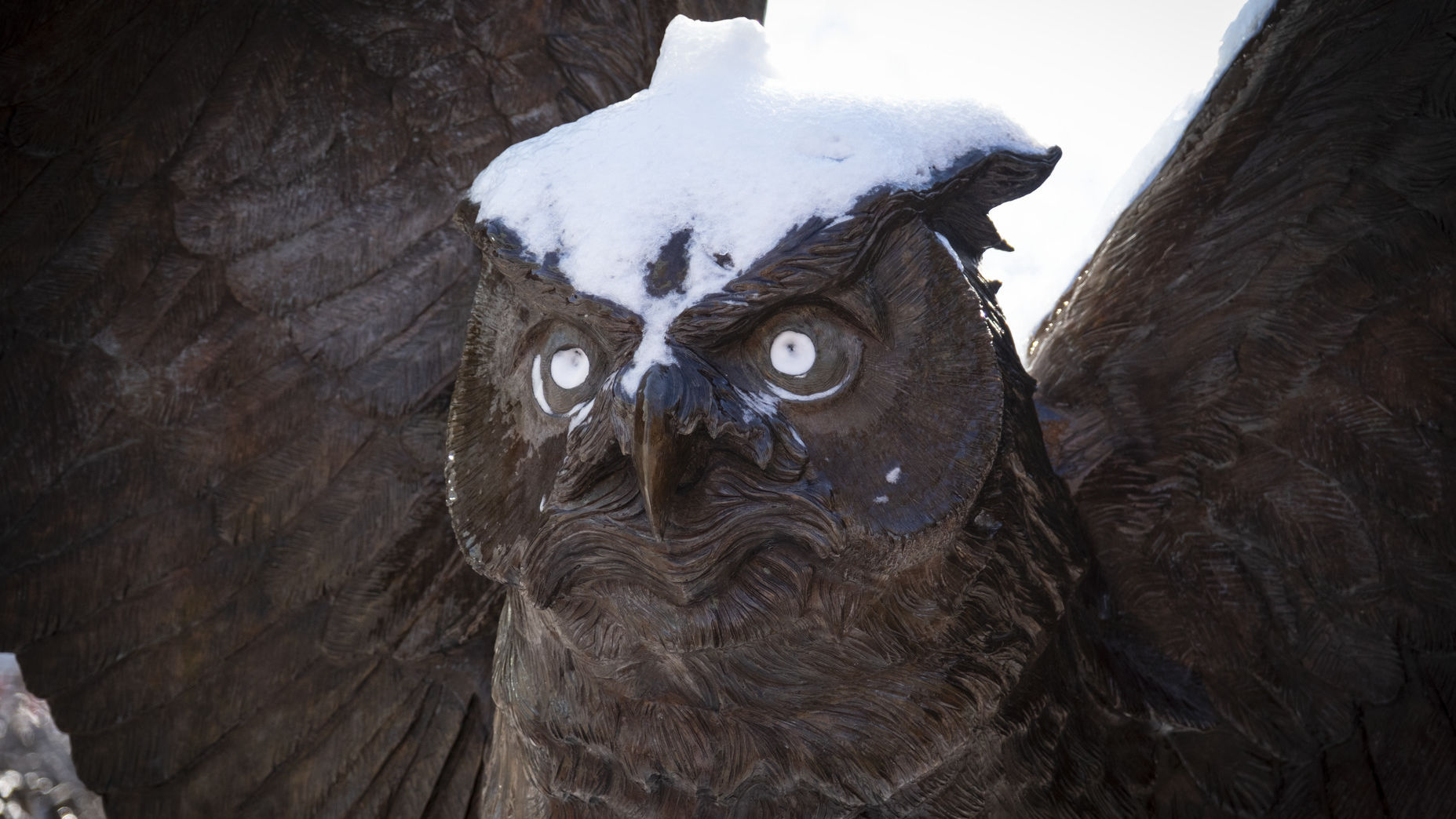 A picture of Temple's owl statue.